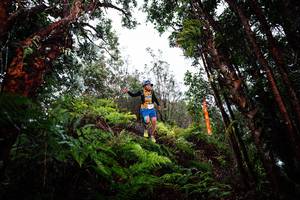 BIB: 
                            <button type="button" onclick="openModal(26205077)" class="btn btn-primary btn-sm float-right btn-popup" data-toggle="modal" data-target=".modal-high-quality">
                        <i class="fas fa-shopping-cart"></i> Add to Cart
                    </button>
                                            <button type="button" onclick="isThisMe(26205077, true)" class="btn btn-success btn-sm float-right btn-popup btn-isme hidden" data-toggle="tooltip" data-placement="bottom" title="นี่คือรูปของคุณใช่ไหม คลิกที่นี่เพื่อเอาเข้าอัลบั้ม">
                        <i class="fas fa-plus"></i> Add to album
                    </button>
                    <button type="button" onclick="isThisMe(26205077, false)" class="btn btn-warning btn-sm float-right btn-popup btn-isnotme hidden">
                        <i class="fas fa-ban"></i> Remove from album
                    </button>